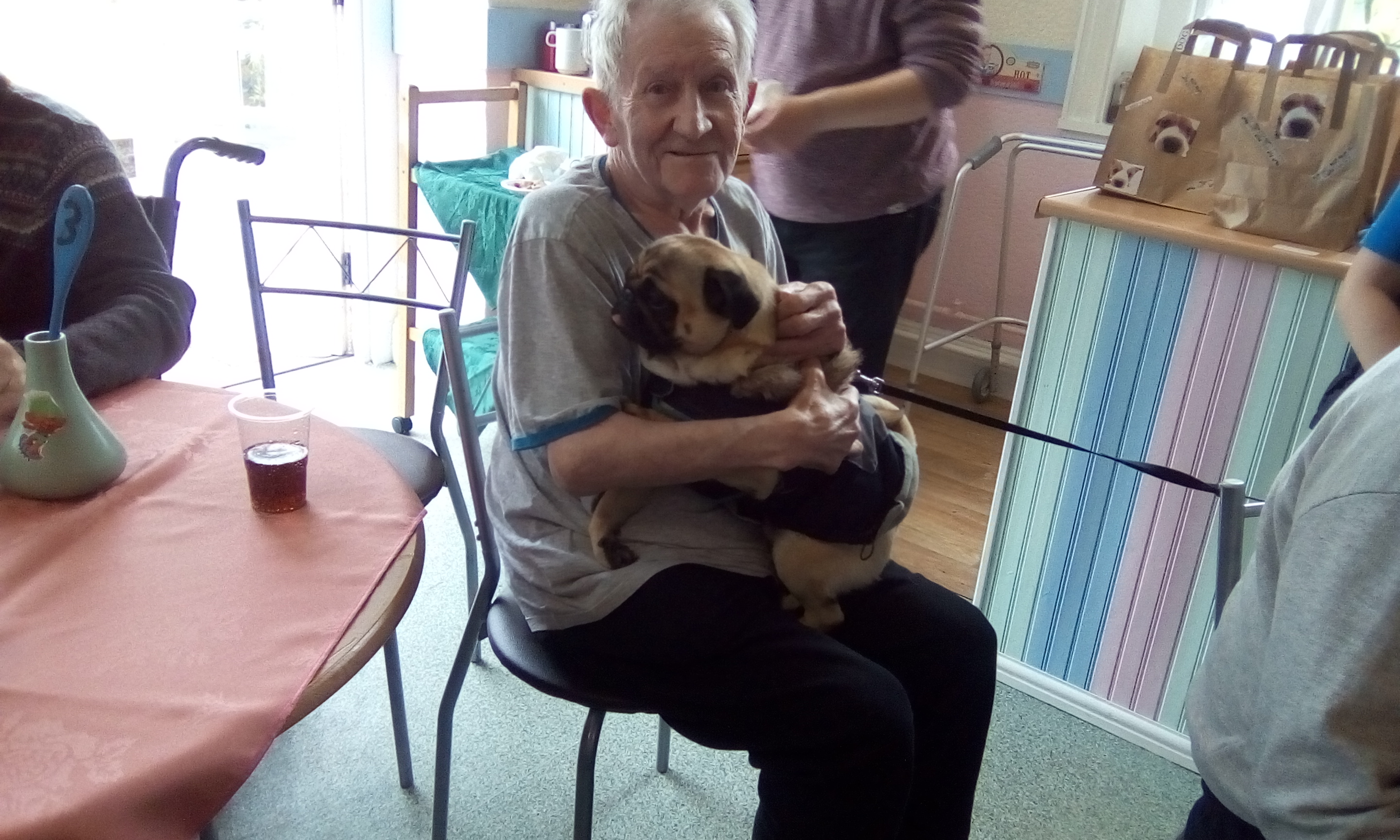 Victoria House Care Centre Dog Show: Key Healthcare is dedicated to caring for elderly residents in safe. We have multiple dementia care homes including our care home middlesbrough, our care home St. Helen and care home saltburn. We excel in monitoring and improving care levels.